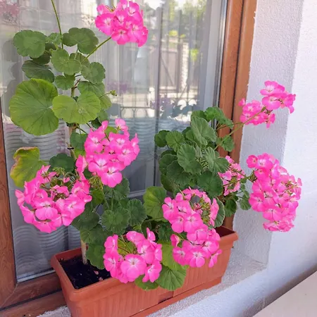 Apartment Diamond Heights